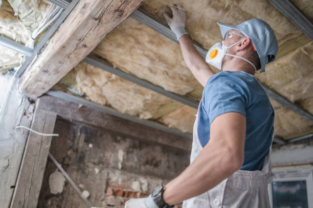 Best Energy-efficient Insulation  in Frontenac, MO