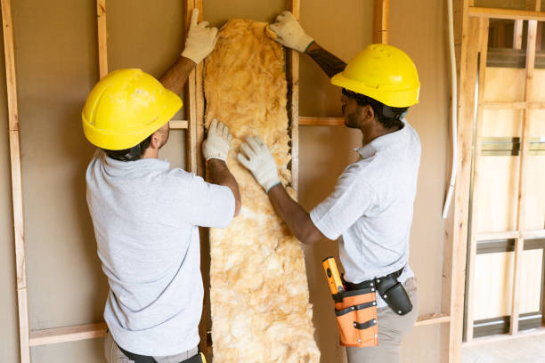 Insulation Repair Services in Frontenac, MO
