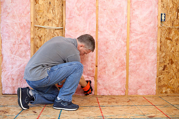 Best Residential Insulation Services  in Frontenac, MO