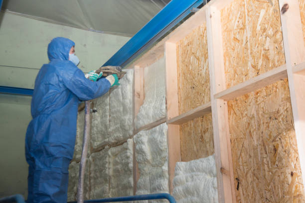 Best Professional Insulation Contractor  in Frontenac, MO